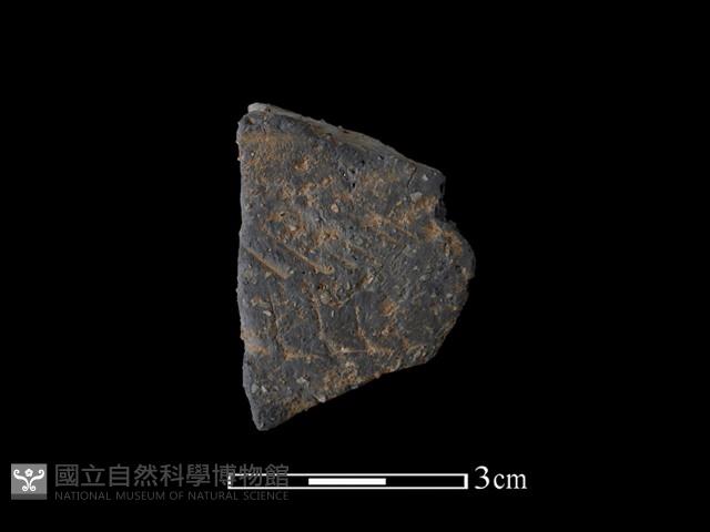 陶片藏品圖，第1張