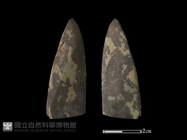 矛鏃形器藏品圖，第1張