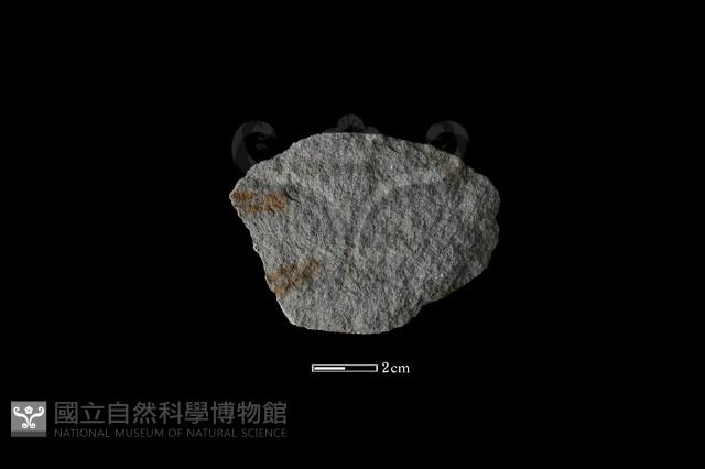 石片器藏品圖，第1張