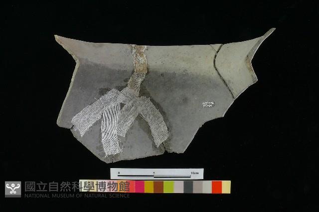 陶罐藏品圖，第2張