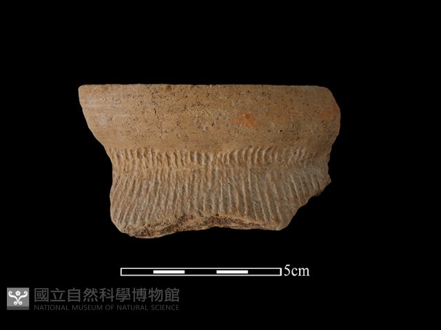 陶罐藏品圖，第2張