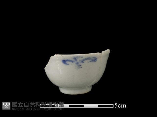 瓷杯藏品圖，第1張