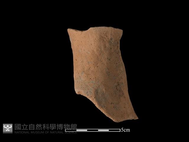 陶片藏品圖，第1張