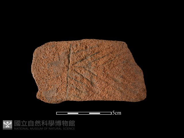 陶把藏品圖，第2張