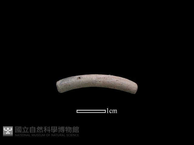 陶環藏品圖，第1張