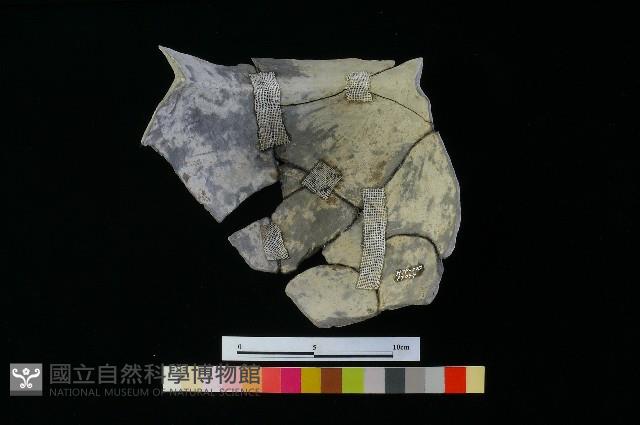 陶罐藏品圖，第1張