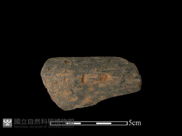 陶缽藏品圖，第1張