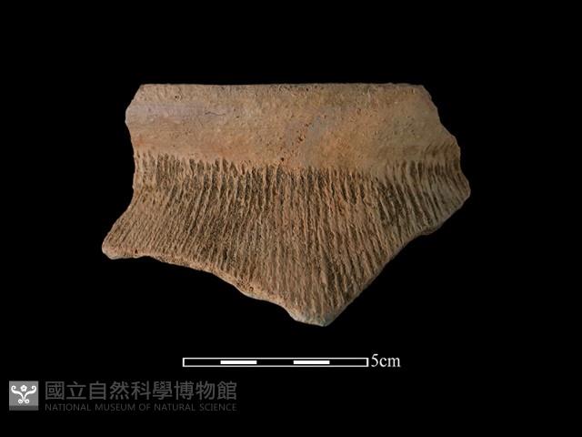 陶罐藏品圖，第1張