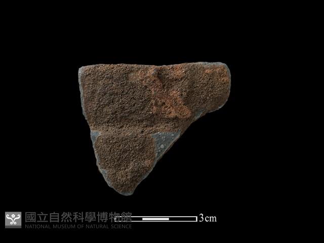 陶罐藏品圖，第1張