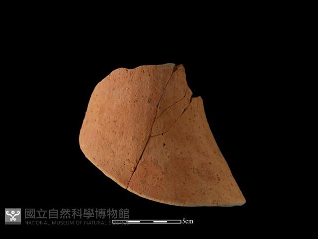 陶片藏品圖，第1張