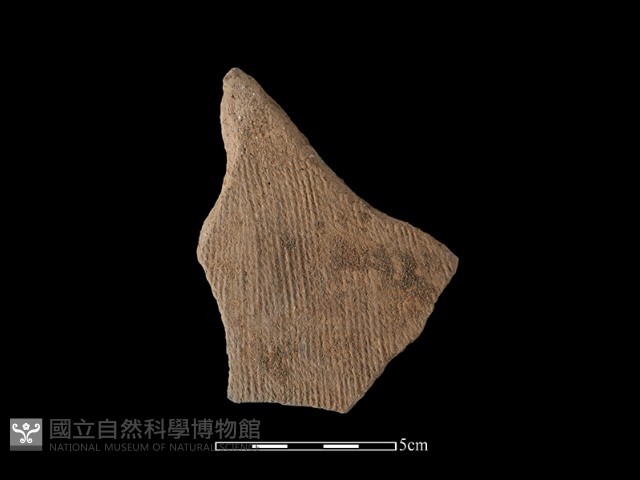 陶片藏品圖，第1張