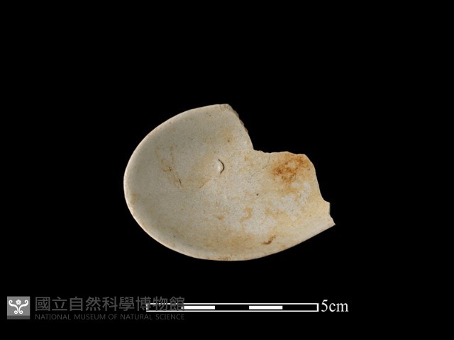 湯匙藏品圖，第1張