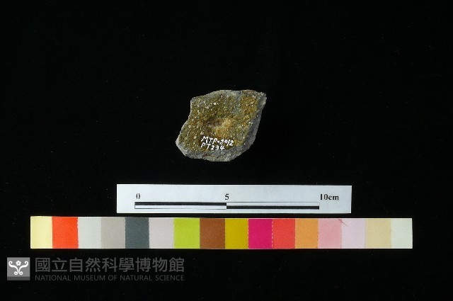 陶蓋藏品圖，第2張