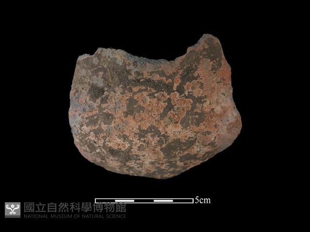 陶缽藏品圖，第1張