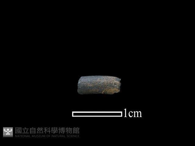 陶環藏品圖，第1張