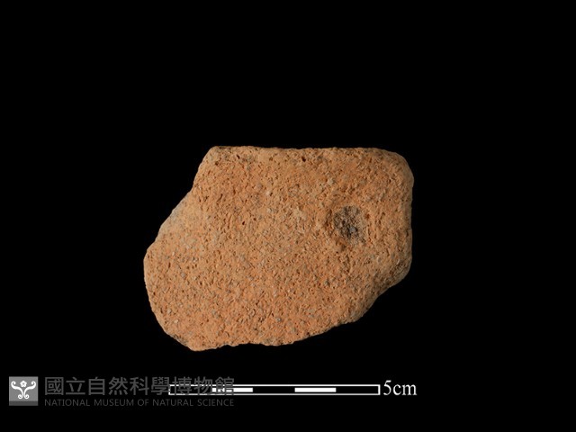 陶罐藏品圖，第1張