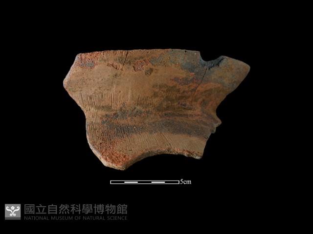 陶罐藏品圖，第1張