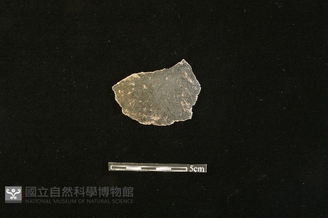 陶片藏品圖，第2張