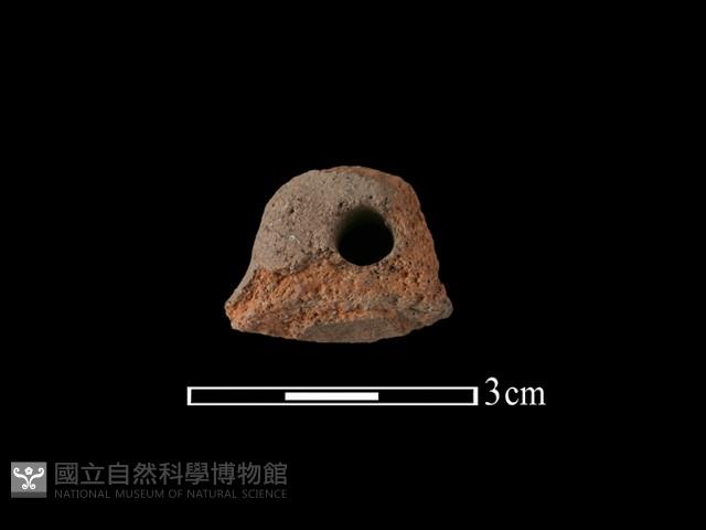 陶鈕藏品圖，第1張