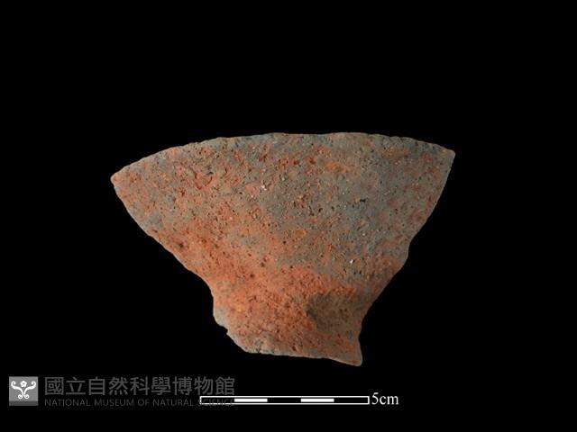 豆形器藏品圖，第2張