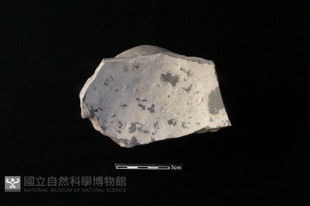 豆形器藏品圖，第1張