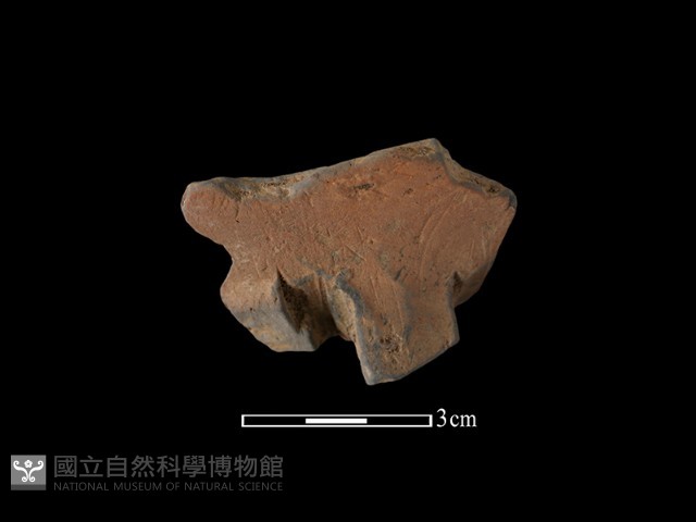 陶片藏品圖，第2張