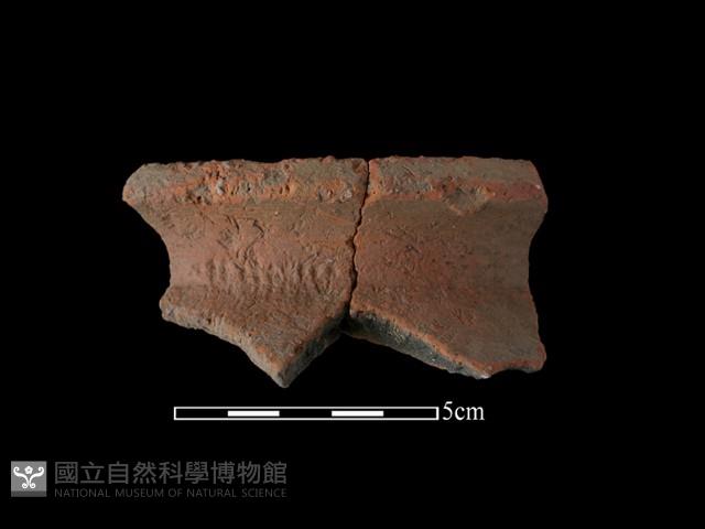 陶罐藏品圖，第2張