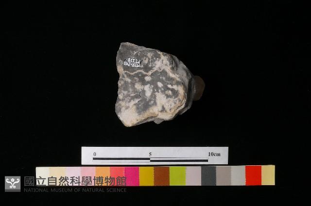 陶蓋藏品圖，第2張