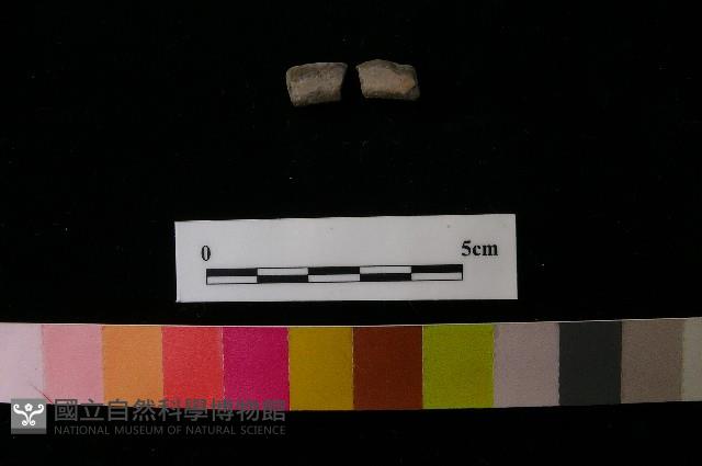 陶環藏品圖，第2張