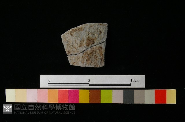 陶片藏品圖，第1張