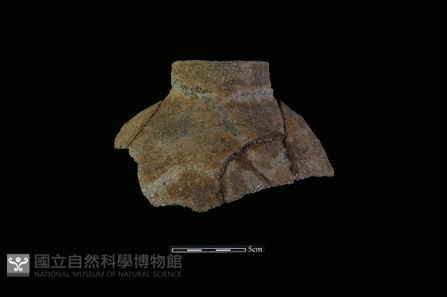 陶罐藏品圖，第2張