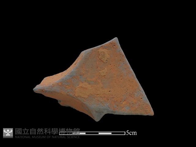 連杯形器藏品圖，第1張