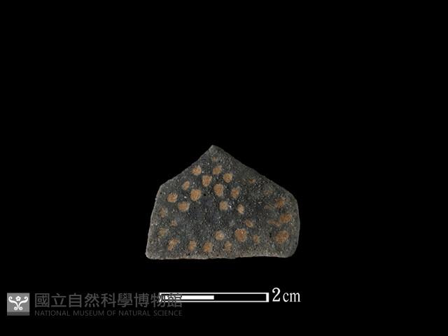 陶片藏品圖，第1張