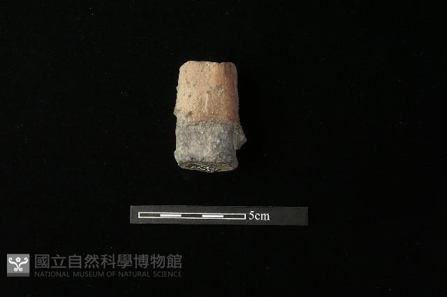 陶蓋鈕藏品圖，第2張