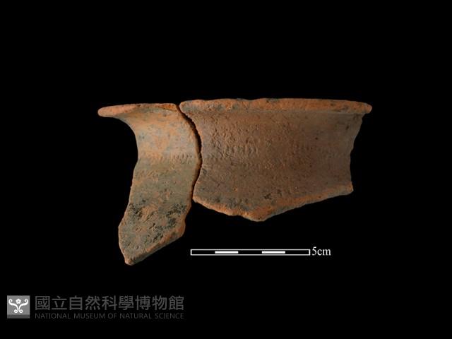 陶罐藏品圖，第2張