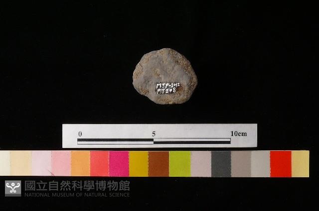 陶蓋藏品圖，第2張