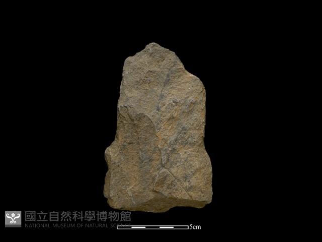 斧鋤形器藏品圖，第2張