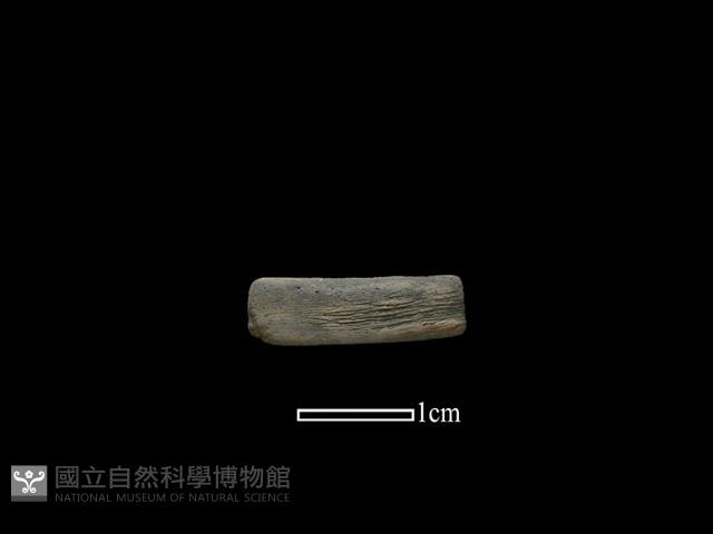 陶環藏品圖，第1張