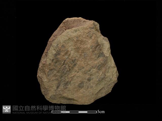 斧鋤形器藏品圖，第2張