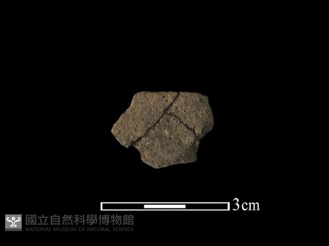 陶片藏品圖，第1張