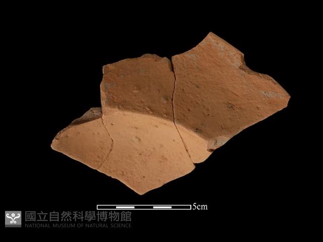 連杯形器藏品圖，第2張