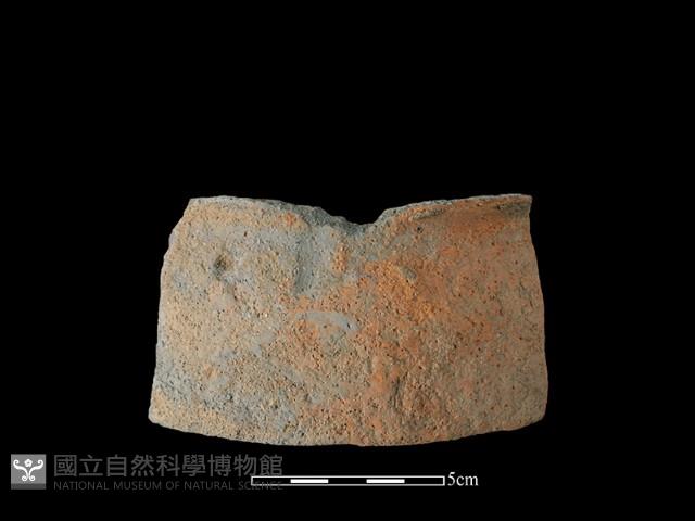 陶片藏品圖，第2張