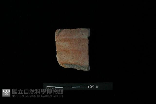 陶片藏品圖，第2張