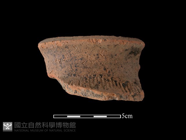 陶罐藏品圖，第1張