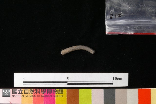 陶環藏品圖，第2張