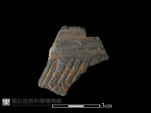 陶片藏品圖，第1張