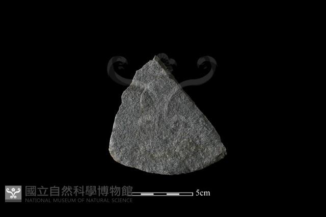 Accession Number:HLL-H-ST258 Collection Image, Figure 1, Total 2 Figures