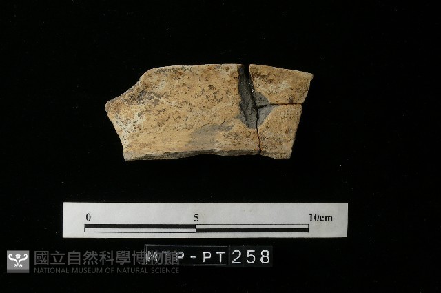 陶罐藏品圖，第2張