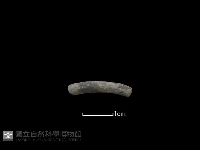 陶環藏品圖，第1張