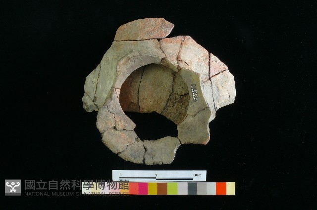 豆形器藏品圖，第2張
